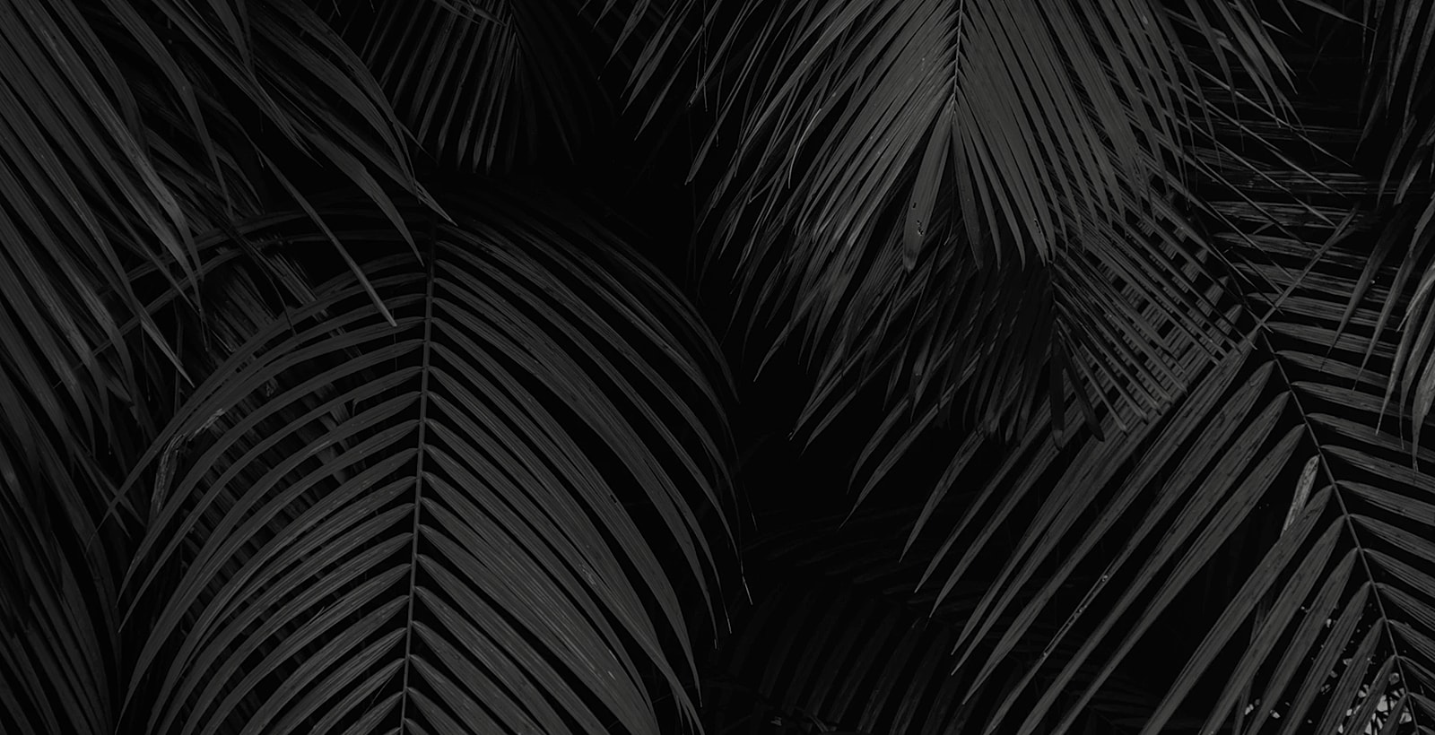 Form Background